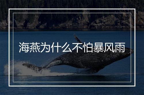 海燕为什么不怕暴风雨