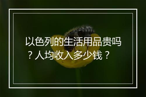 以色列的生活用品贵吗？人均收入多少钱？