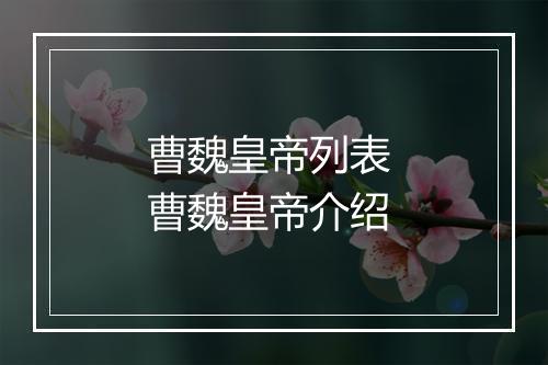 曹魏皇帝列表 曹魏皇帝介绍