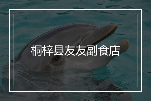 桐梓县友友副食店
