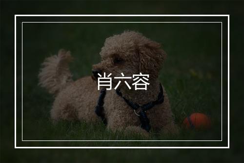 肖六容