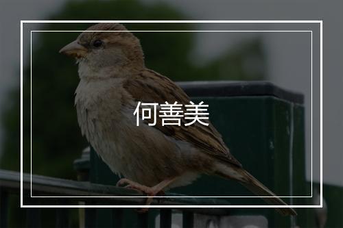 何善美