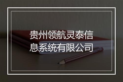 贵州领航灵泰信息系统有限公司