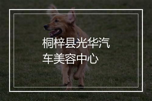 桐梓县光华汽车美容中心
