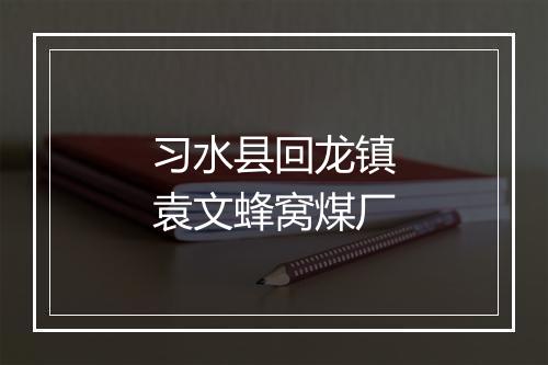 习水县回龙镇袁文蜂窝煤厂
