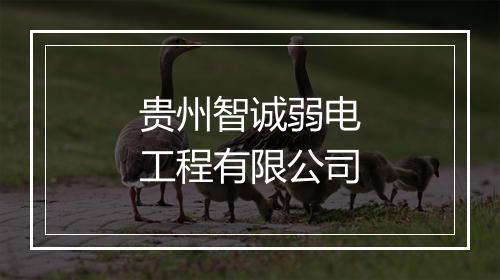 贵州智诚弱电工程有限公司