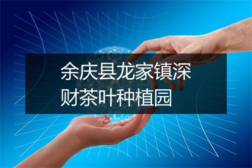 余庆县龙家镇深财茶叶种植园