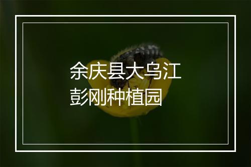 余庆县大乌江彭刚种植园