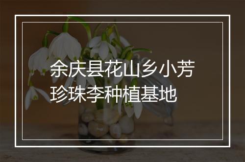 余庆县花山乡小芳珍珠李种植基地