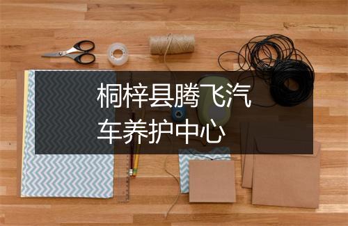 桐梓县腾飞汽车养护中心