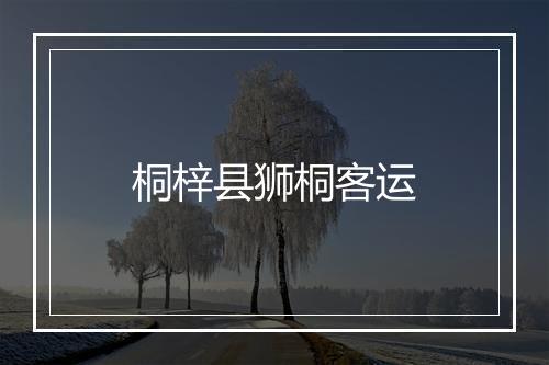 桐梓县狮桐客运