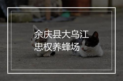 余庆县大乌江忠权养蜂场