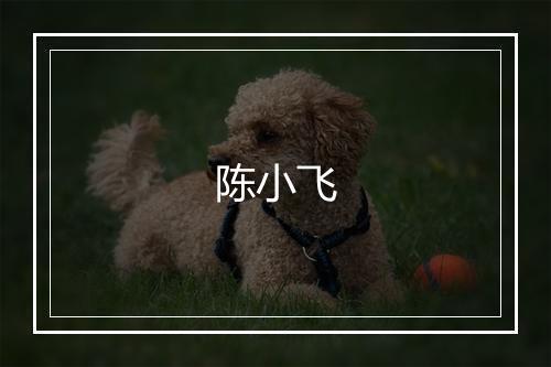 陈小飞