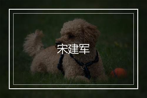 宋建军
