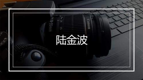 陆金波