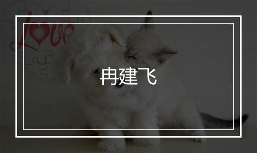 冉建飞