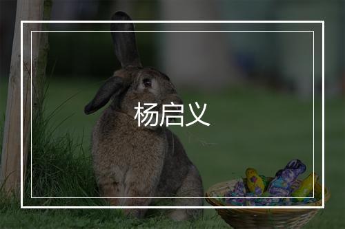 杨启义