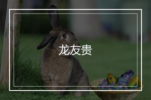 龙友贵