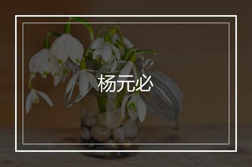 杨元必
