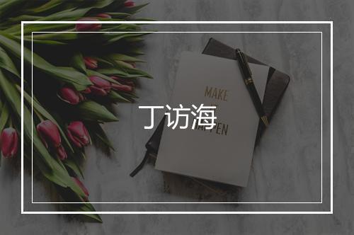 丁访海