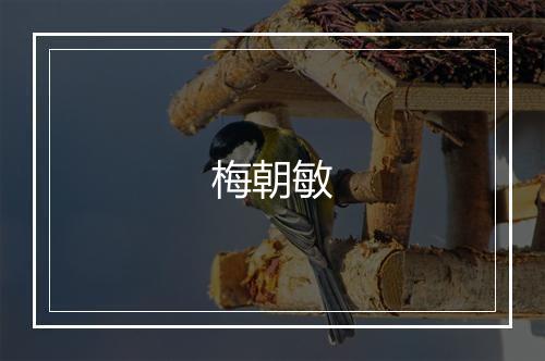 梅朝敏