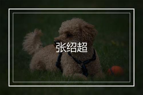 张绍超