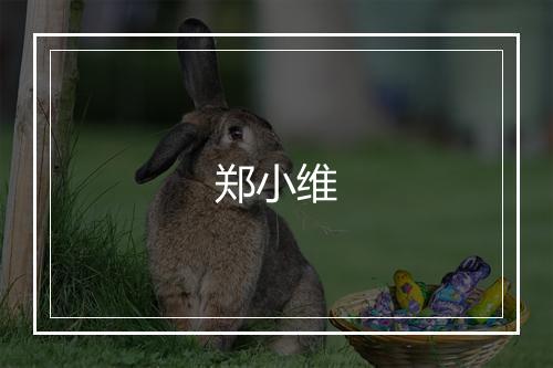 郑小维
