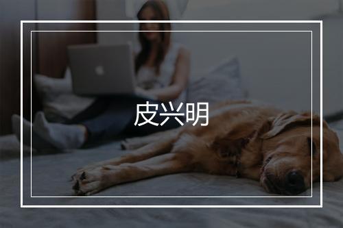 皮兴明