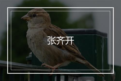 张齐开