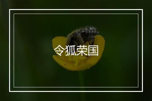 令狐荣国