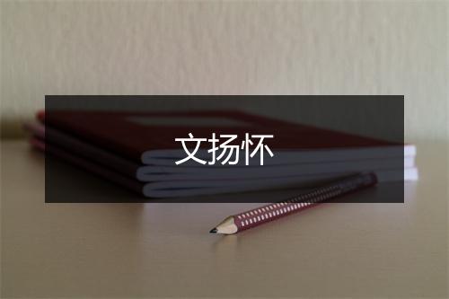 文扬怀