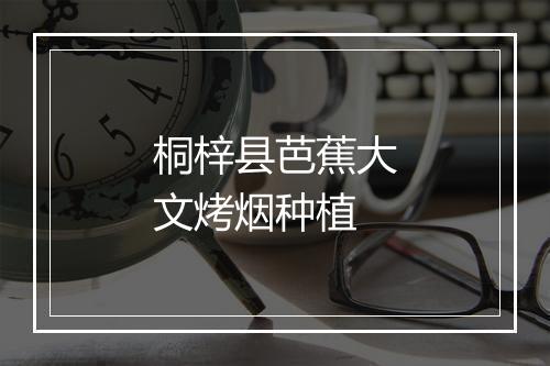 桐梓县芭蕉大文烤烟种植