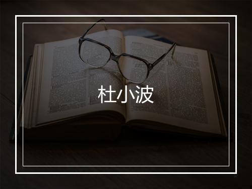 杜小波