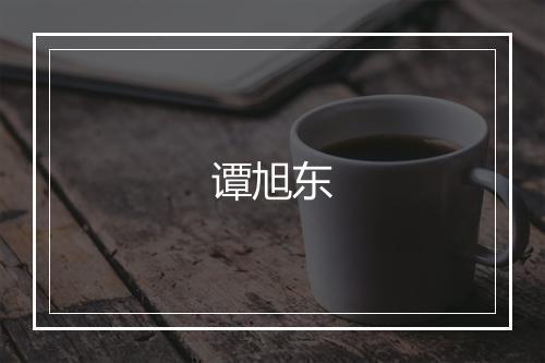谭旭东