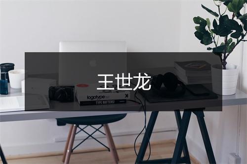 王世龙