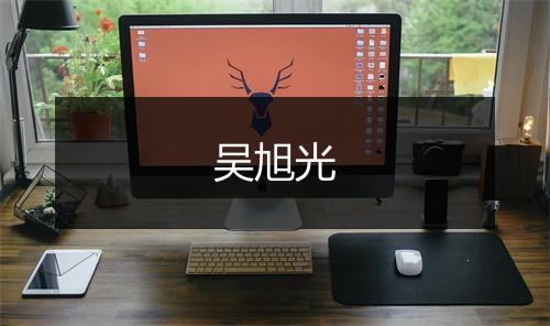 吴旭光