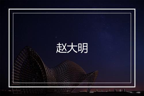 赵大明