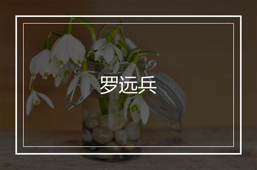 罗远兵