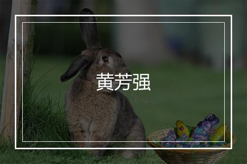 黄芳强