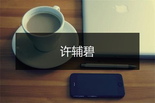 许辅碧