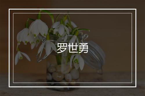 罗世勇