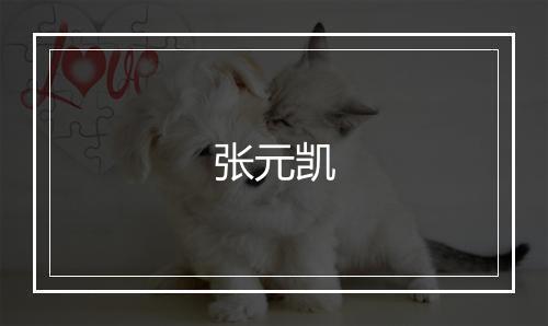 张元凯