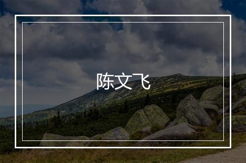 陈文飞