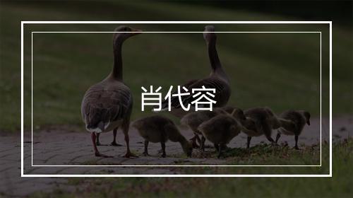 肖代容