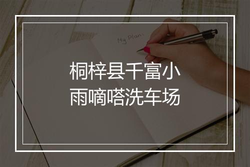 桐梓县千富小雨嘀嗒洗车场