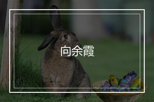 向余霞