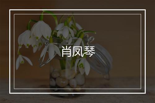 肖凤琴