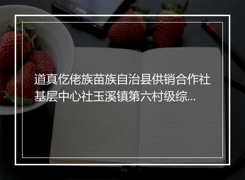 道真仡佬族苗族自治县供销合作社基层中心社玉溪镇第六村级综合服务站