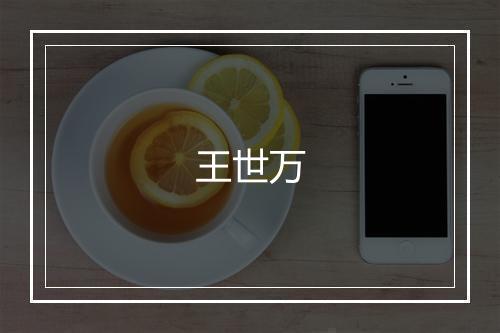王世万