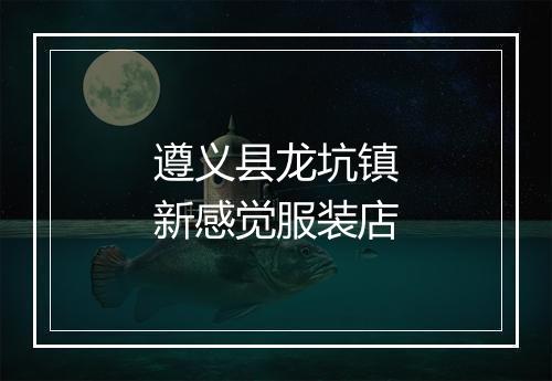 遵义县龙坑镇新感觉服装店